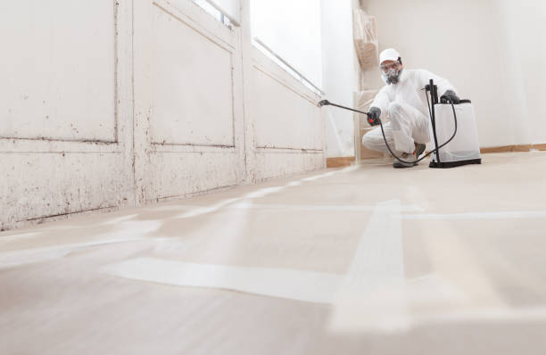 24/7 Emergency Mold Removal experts in Jacksonville, FL
